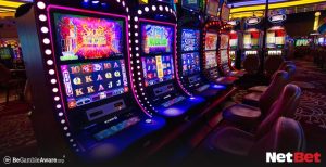 pp6|Bingo Online – Jogue Sem Risco no Cassino Digital